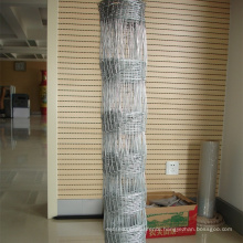 Galvanized after/before welded wire mesh